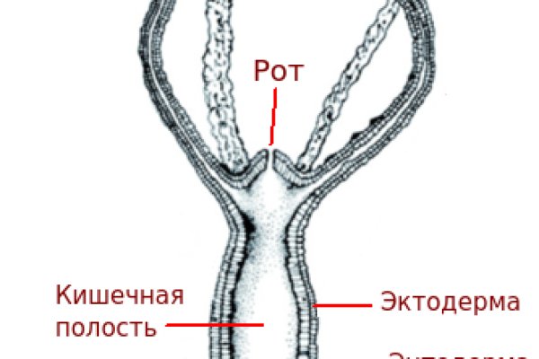 Кракен это даркнет